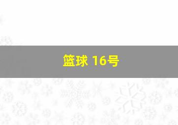 篮球 16号